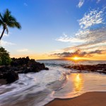 Advocate Capital Inc. Supports the Maui Strong Fund