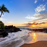 Advocate Capital Inc. Supports the Maui Strong Fund Advocate Capital Inc. Supports the Maui Strong Fund