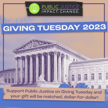 Giving Tuesday: Join us in Supporting Public Justice Giving Tuesday: Join us in Supporting Public Justice