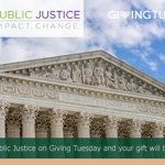 Giving Tuesday: Join us in Supporting Public Justice