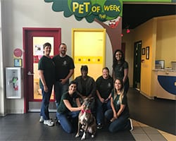 Team Hope Volunteers at the Nashville Humane Association