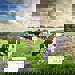 Public Justice Cleans Up Dairy Farm Pollution Public Justice Cleans Up Dairy Farm Pollution