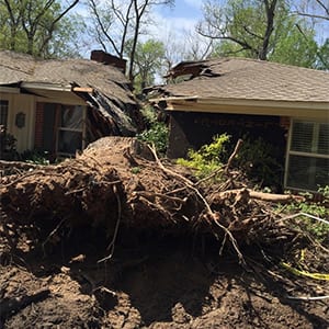 Texan Attorney Stands Up to State Farm Insurance