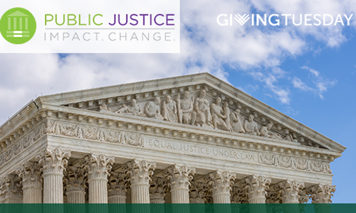 Giving Tuesday: Join us in Supporting Public Justice